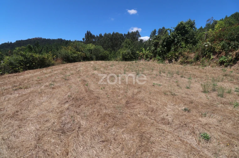 Terreno para Venda em Vale Foto 15
