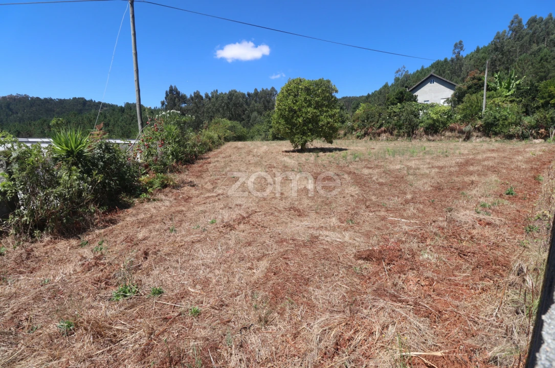 Terreno para Venda em Vale Foto 6