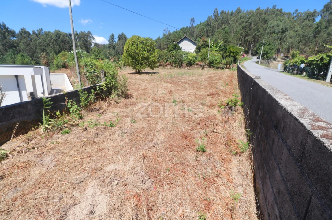 Terreno para Venda em Vale Foto 7