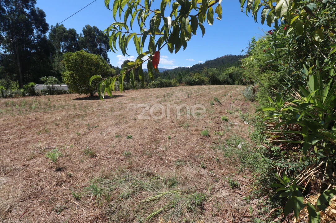 Terreno para Venda em Vale Foto 8