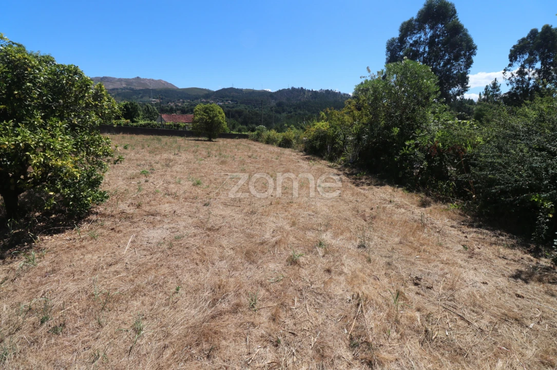 Terreno para Venda em Vale Foto 11