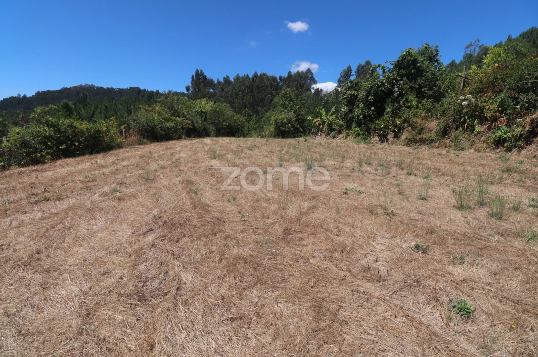 Terreno para Venda em Vale Foto 15