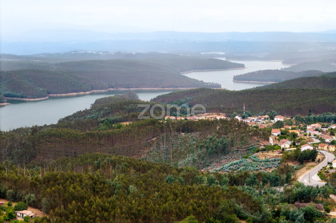 Terreno para Venda em Santa Comba Dão e Couto do Mosteiro Foto 22