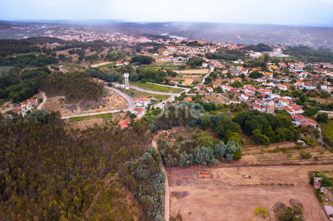 Terreno para Venda em Santa Comba Dão e Couto do Mosteiro Foto 12