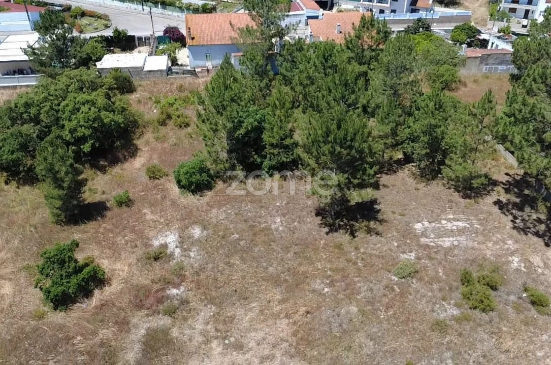 Terreno para Venda em Fernao Ferro Foto 9