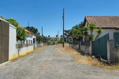 Terreno para Venda em Fernao Ferro