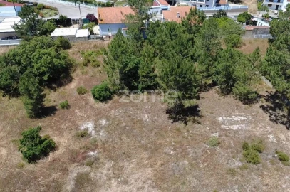 Terreno para Venda em Fernao Ferro