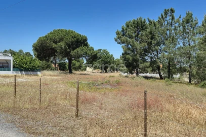 Terreno para Venda em Fernao Ferro