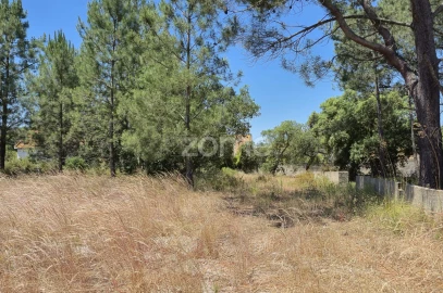 Terreno para Venda em Fernao Ferro