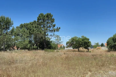 Terreno para Venda em Fernao Ferro