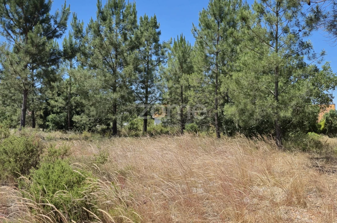 Terreno para Venda em Fernao Ferro Foto 1