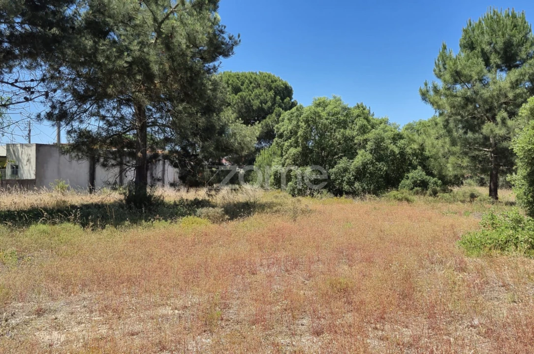 Terreno para Venda em Fernao Ferro Foto 2