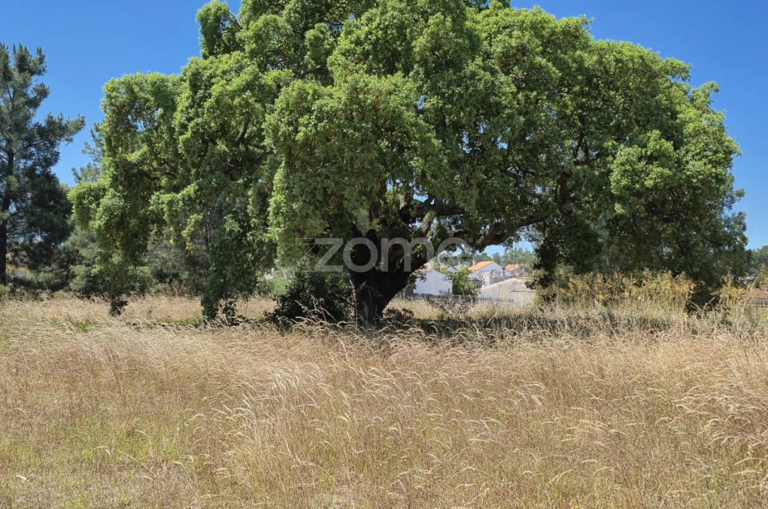 Terreno para Venda em Fernao Ferro Foto 3