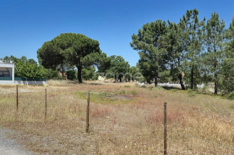 Terreno para Venda em Fernao Ferro Foto 18