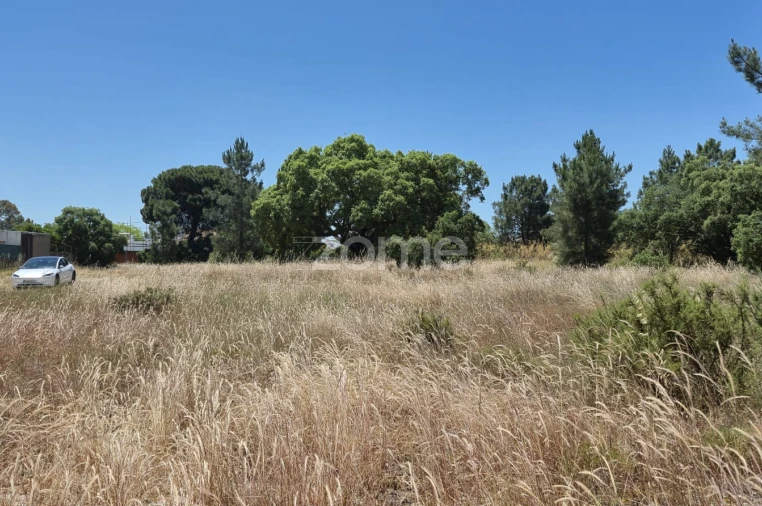 Terreno para Venda em Fernao Ferro Foto 6
