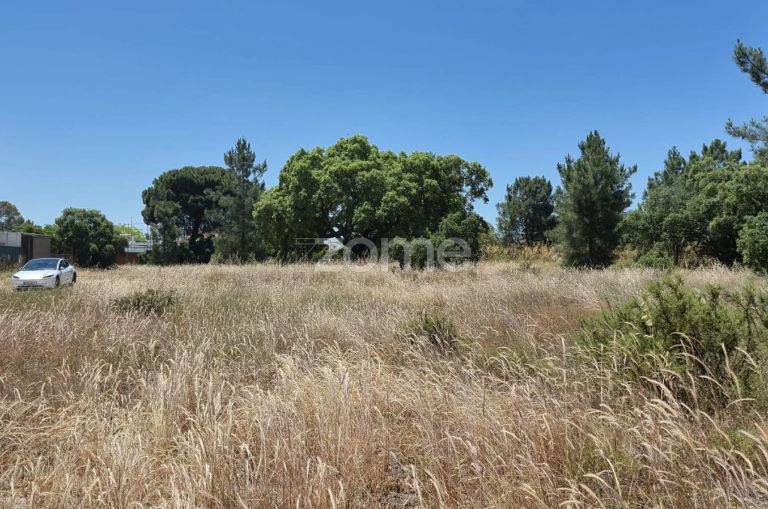 Terreno para Venda em Fernao Ferro Foto 6
