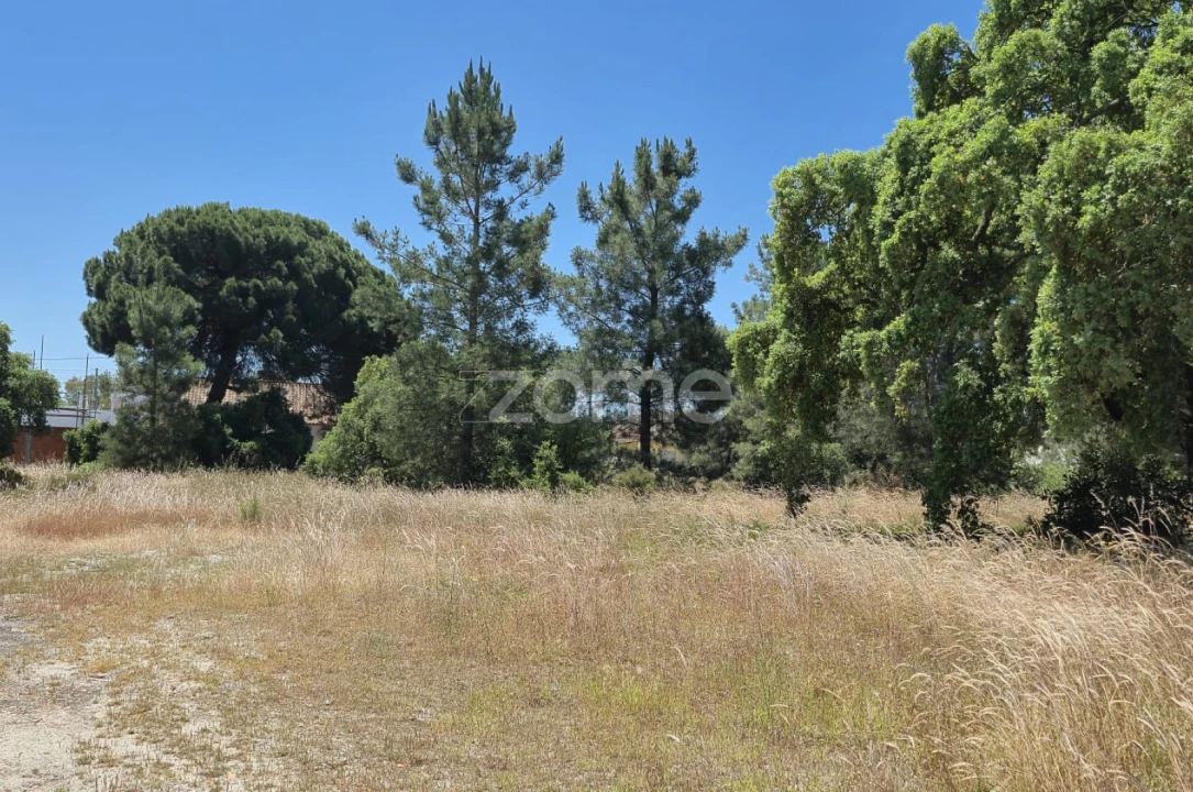 Terreno para Venda em Fernao Ferro Foto 8