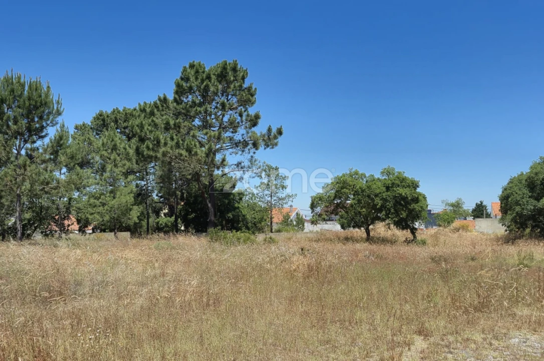 Terreno para Venda em Fernao Ferro Foto 7