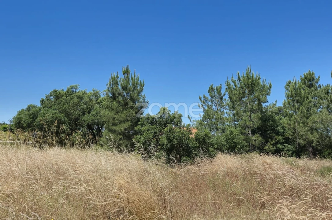 Terreno para Venda em Fernao Ferro Foto 5