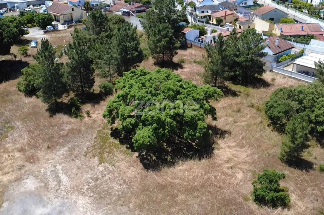 Terreno para Venda em Fernao Ferro Foto 11