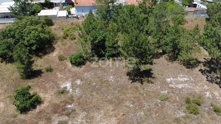 Terreno para Venda em Fernao Ferro