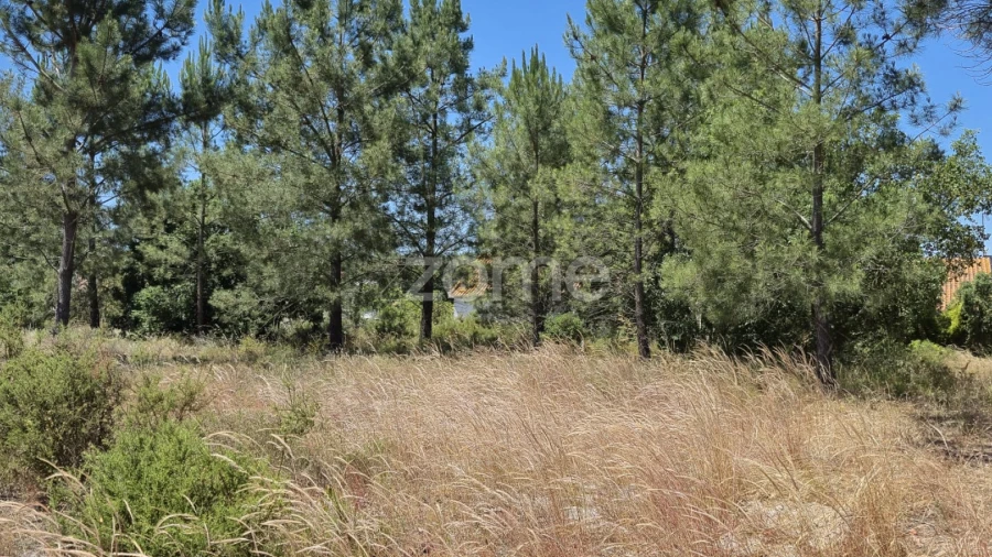 Terreno para Venda em Fernao Ferro