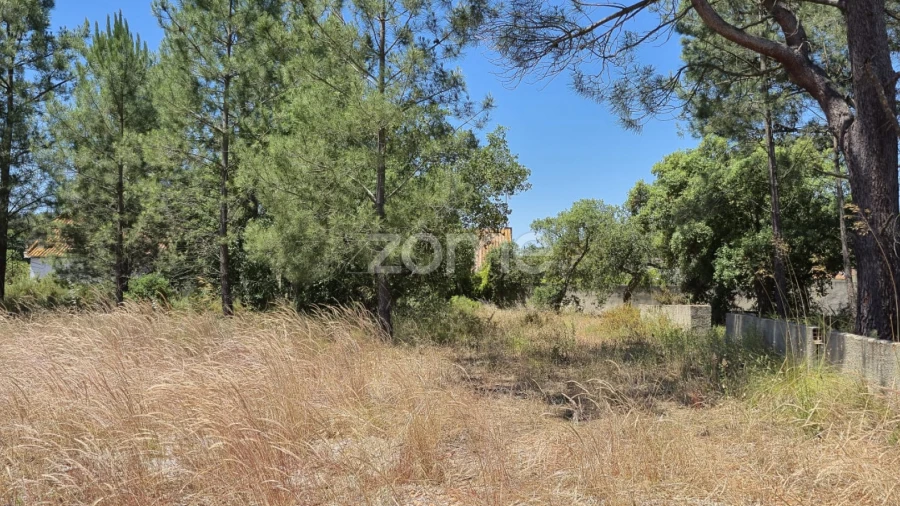 Terreno para Venda em Fernao Ferro