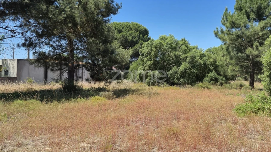 Terreno para Venda em Fernao Ferro