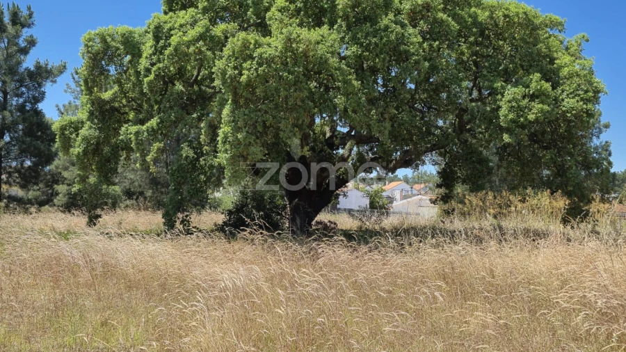 Terreno para Venda em Fernao Ferro