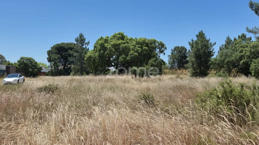 Terreno para Venda em Fernao Ferro
