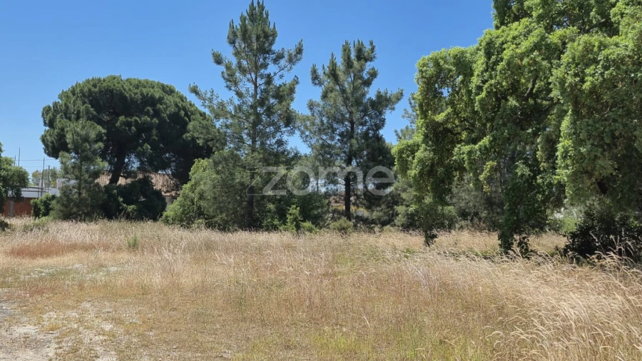 Terreno para Venda em Fernao Ferro