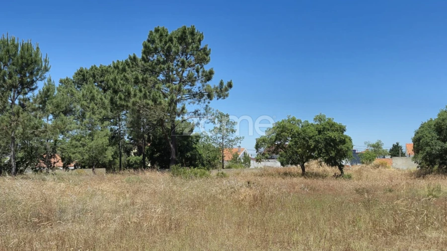 Terreno para Venda em Fernao Ferro