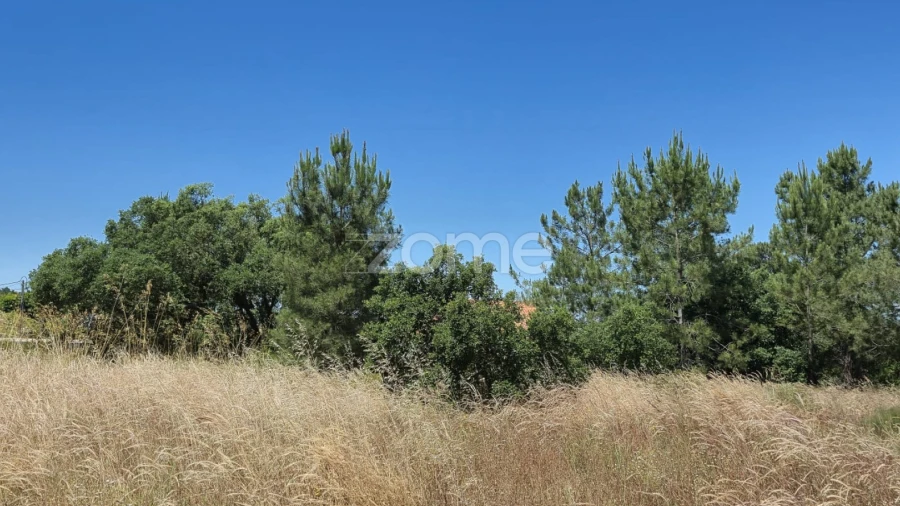 Terreno para Venda em Fernao Ferro