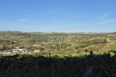 Terreno para Venda em Arranho