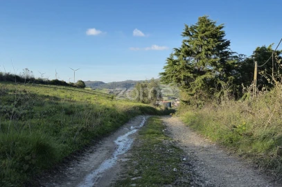 Terreno para Venda em Arranho