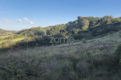 Terreno para Venda em Arranho