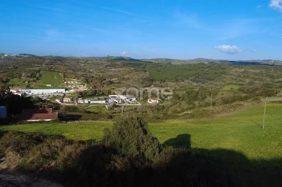 Terreno para Venda em Arranho