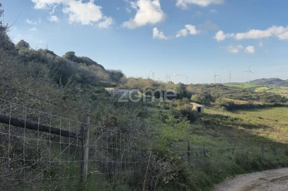 Terreno para Venda em Arranho
