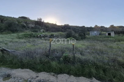 Terreno para Venda em Arranho