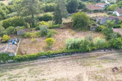 Moradia T2 para Venda em São Martinho de Árvore e Lamarosa