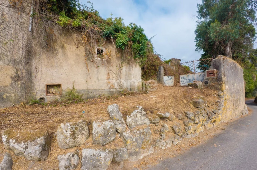 Moradia T2 para Venda em São Martinho de Árvore e Lamarosa Foto 26