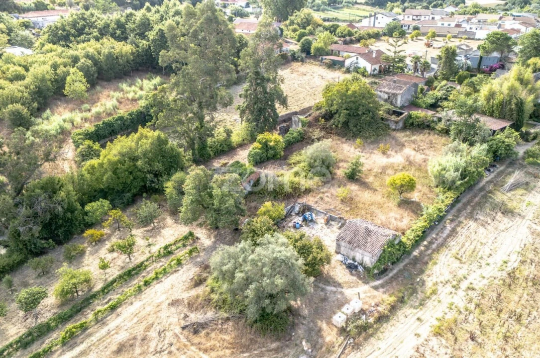 Moradia T2 para Venda em São Martinho de Árvore e Lamarosa Foto 5