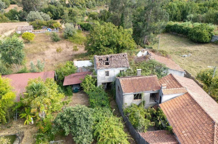 Moradia T2 para Venda em São Martinho de Árvore e Lamarosa Foto 18
