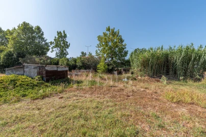 Terreno para Venda em Grândola e Santa Margarida da Serra