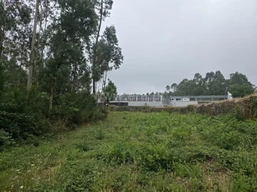 Terreno para Venda em Malta e Canidelo