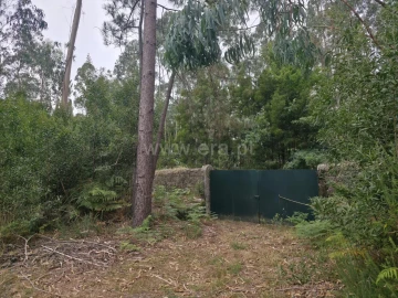 Terreno para Venda em Malta e Canidelo