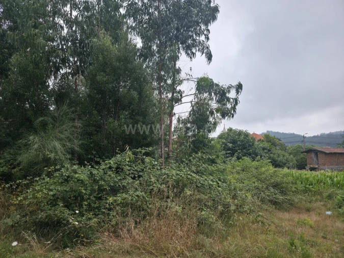 Terreno para Venda em Malta e Canidelo Foto 6