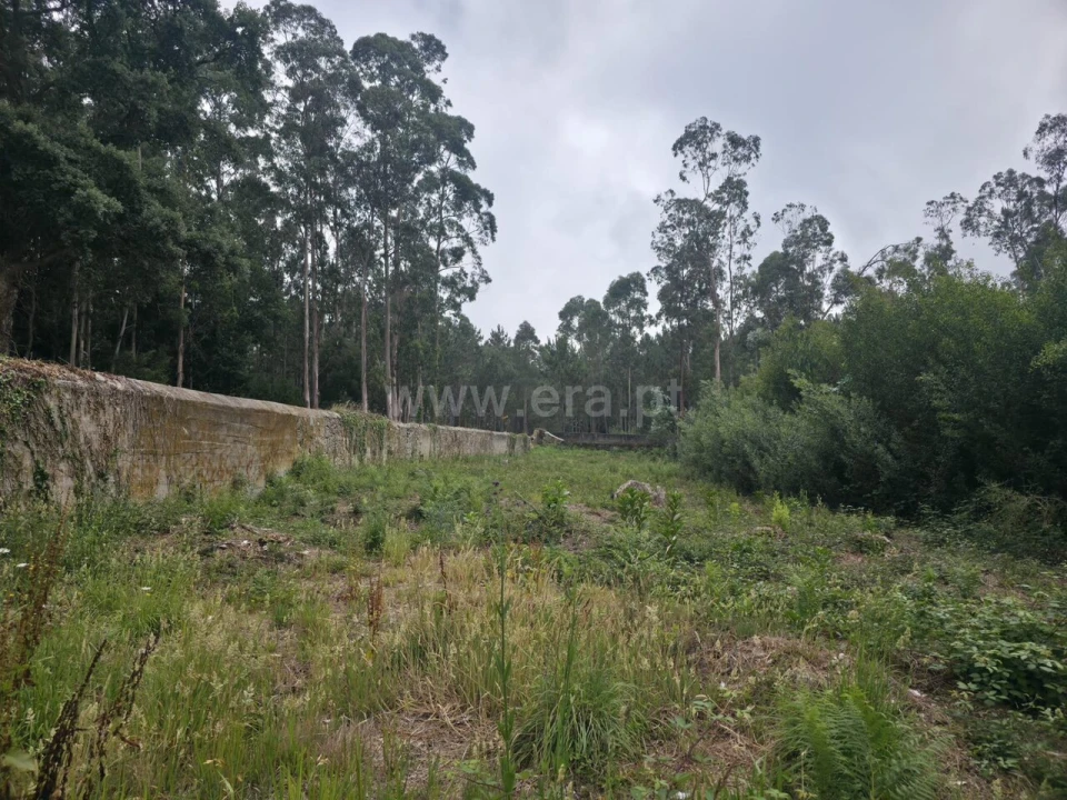 Terreno para Venda em Malta e Canidelo Foto 4