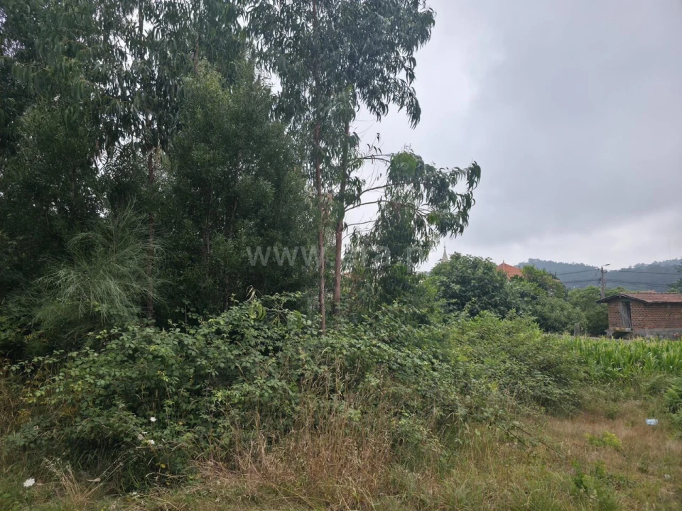 Terreno para Venda em Malta e Canidelo Foto 6