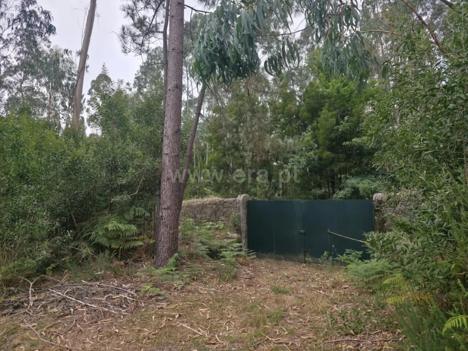 Terreno para Venda em Malta e Canidelo Foto 1